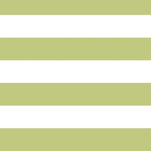 Large Pear Green Awning Stripe Pattern Horizontal in White