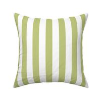 Large Pear Green Awning Stripe Pattern Vertical in White