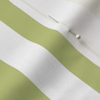 Large Pear Green Awning Stripe Pattern Vertical in White