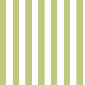 Pear Green Awning Stripe Pattern Vertical in White