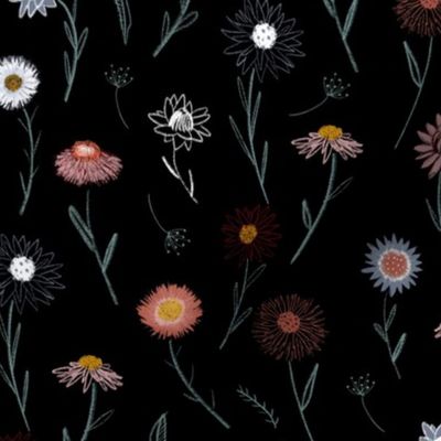 Everlastings - paper daisies - noir