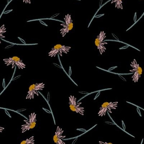 Everlastings Spring - large - daisy scatter - noir