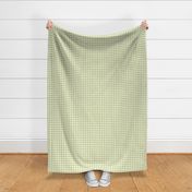 Gingham Pattern - Pear Green and White