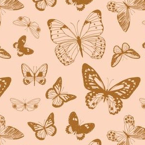 Butterflies in boho blush-5.25