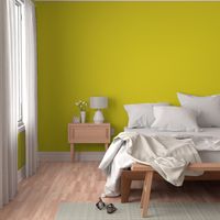 Yellow Chartreuse Solid