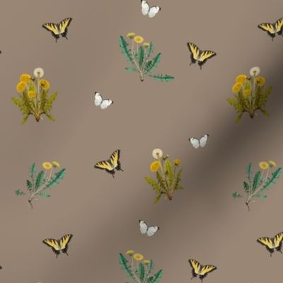 DANDELION ARRAY - DANDELION COLLECTION (TAUPE)