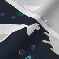 Beluga Underwater Dance