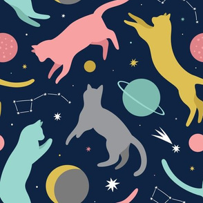 space cats