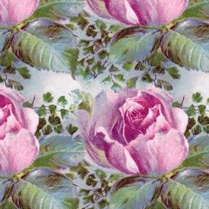 Vintage pink roses and ferns