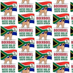 Boerboel South Africa Small White