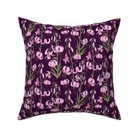 martagon lily on purple