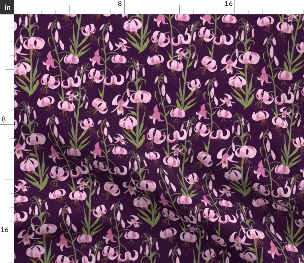 martagon lily on purple