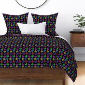 Cute Rainbow Kiwi multi directional - on black