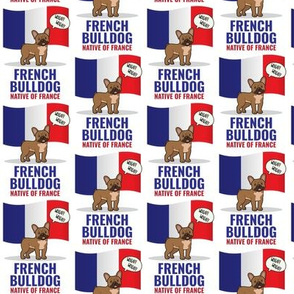 French Bulldog France Flag Small White