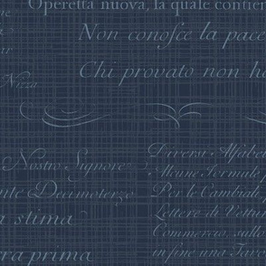 Vintage Italian Scripts in navy blue grey