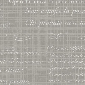 Vintage Italian Scripts in grey cream