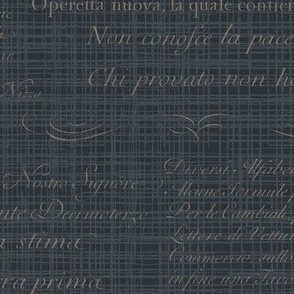 Vintage Italian Scripts in charcoal grey