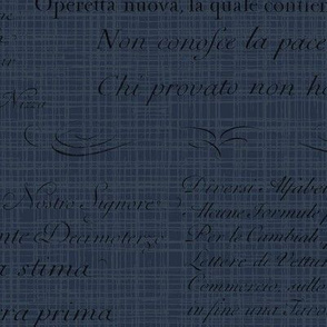 Vintage Italian Scripts in navy blue