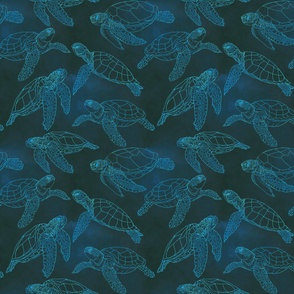 Sea Turtles Swimwear