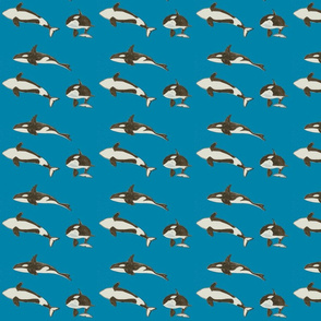 Orca Whales on Blue (small)