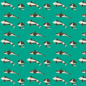 Orca Whales on Green (small)