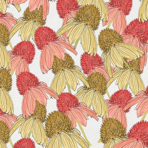 hand drawn florals Echinacea