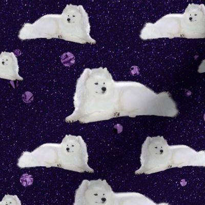 Louie: Samoyed Pup in a Purple Cosmos