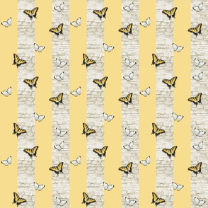 BUTTERFLY STONE STRIPE - DANDELION COLLECTION (BUTTER)