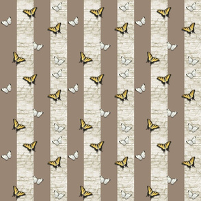 BUTTERFLY STONE STRIPE - DANDELION COLLECTION (TAUPE)