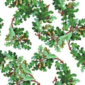 Vintage oak leaves print (medium)