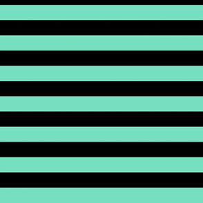 Aqua Mint Awning Stripe Pattern Horizontal in Black