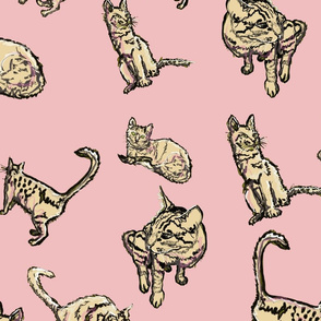 cats on pointe pink -ed