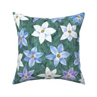 Charming Starflowers, Large - Hand-Drawn Florals