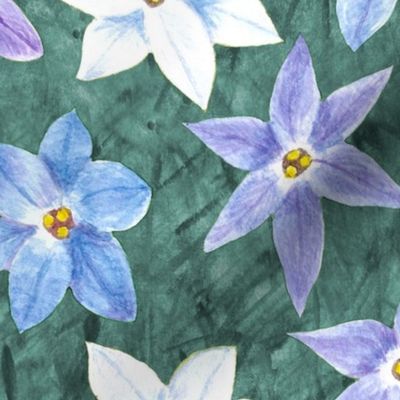 Charming Starflowers, Large - Hand-Drawn Florals