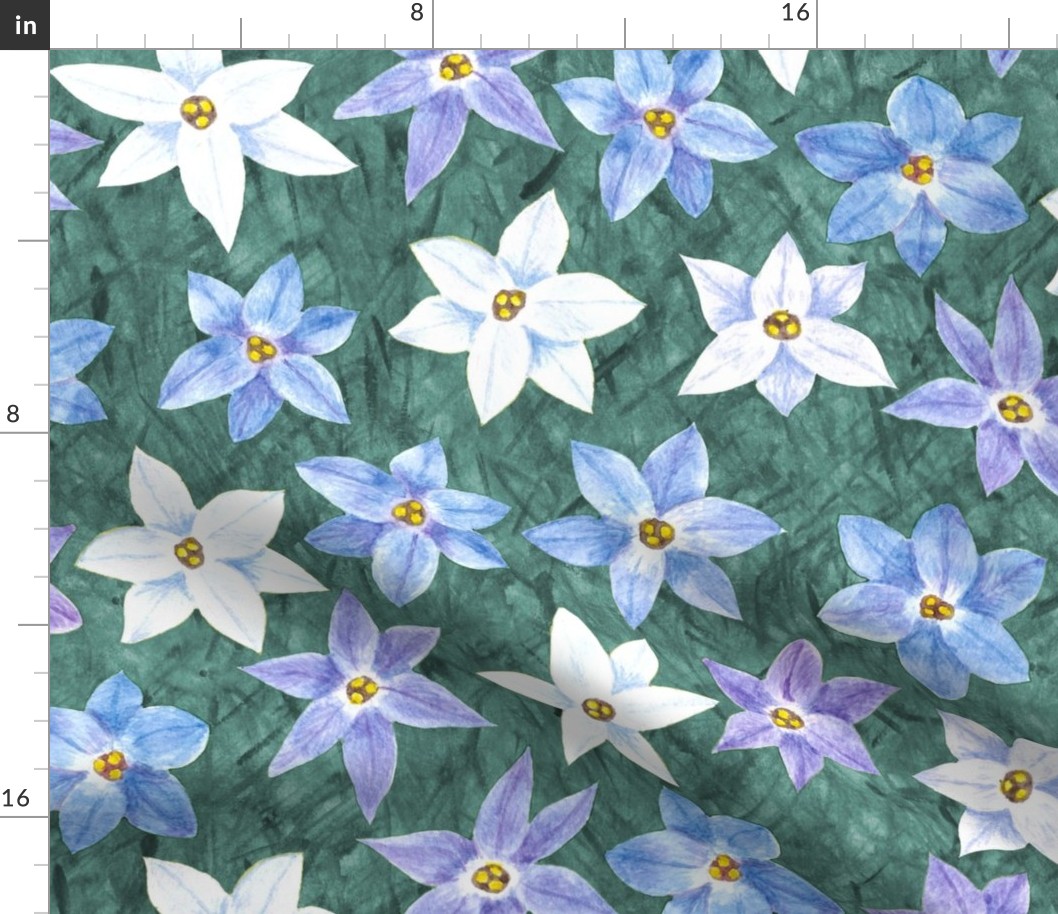 Charming Starflowers, Large - Hand-Drawn Florals