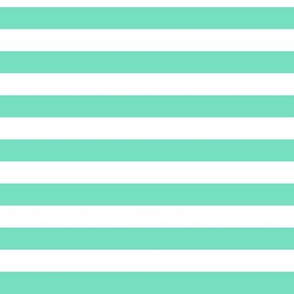 Aqua Mint Awning Stripe Pattern Horizontal in White