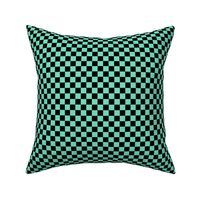 Checker Pattern - Aqua Mint and Black