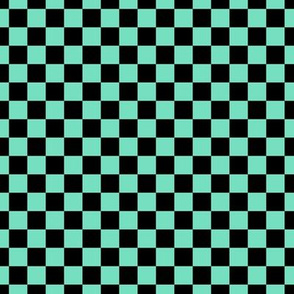 Checker Pattern - Aqua Mint and Black