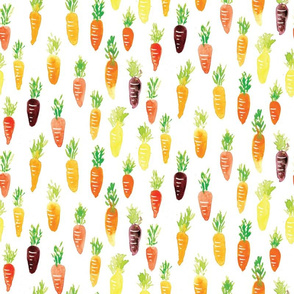 Rainbow Carrots by Liz Conley