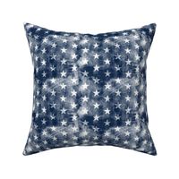 (3/4" scale) distressed stars on navy C21