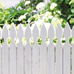 White Picket Fence With A Red Rose, L