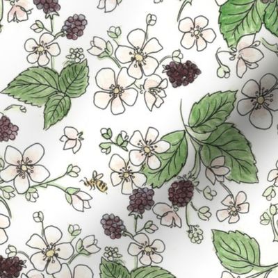 watercolour blackberry blossoms