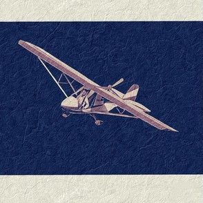 Flight of the Ultralight - Craft Paper