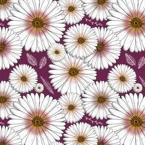 Daisy-Flower on purple