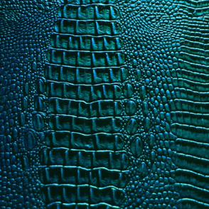 Blue and Green Teal Alligator