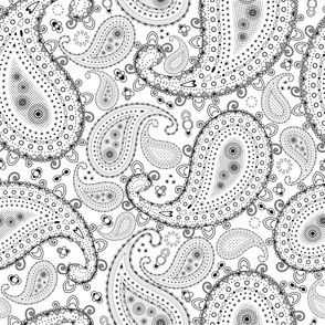 Black and White Paisley - SMALL
