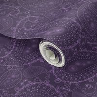 Purple Paisley