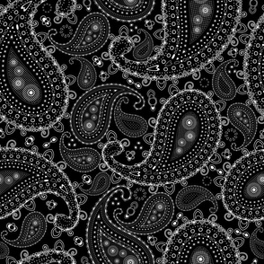 Black and White Paisley - SMALL