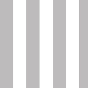 Large Pebble Grey Awning Stripe Pattern Vertical in White