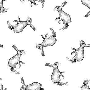 Jackrabbits - Black Ink on White - Larger Scale